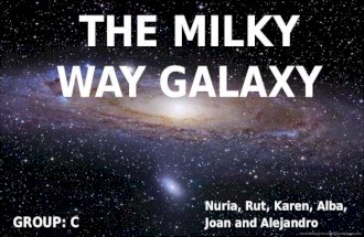 C. The Milky Way  Galaxy