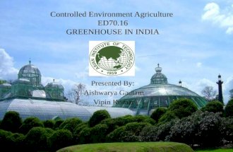 Greenhouse in india