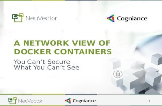 Docker Container Security - A Network View