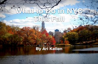 What to Do in NYC This Fall, by Ari Kellen