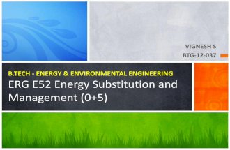 Energy Substitution & Management - Individual
