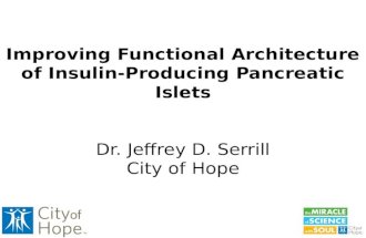 Improving Functional Architecture of Insulin-Producing Pancreatic Islets