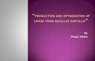 “Production and optimization of lipase from bacillus subtillis”