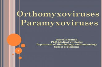 Othomyxo and paramyxoviruses