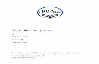 Thesis paper On Magic Mirror