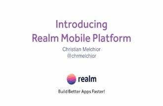 Introduction to Realm Mobile Platform