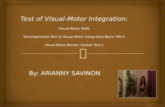 Tests of Visual Motor Integration by Arianny Savinon & Team