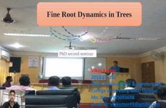 Fine roots dynamics in trees