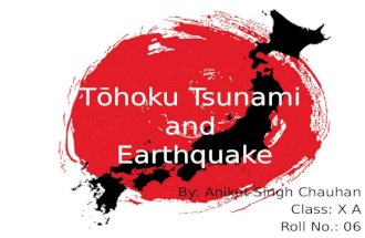 Tohoku tsunami