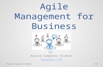 Agile Management for business