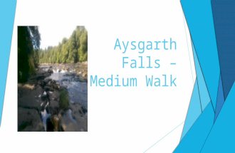 Aysgarth falls – medium walk