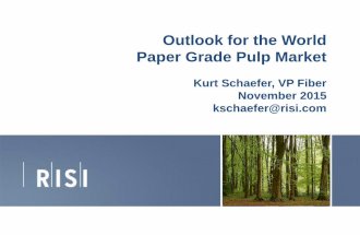 Outlook for the World Paper Grade Pulp Market