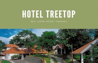 Hotel Treetop