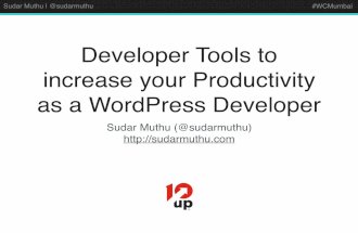 WordPress Developer tools