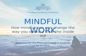 Mindfulness workshop Pharmacy Guild of Australia 24.01.2017