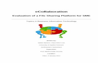 eCollaboration: Evaluation of a File Sharing Platform for SME