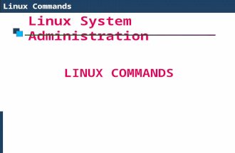 Linux commands and file structure
