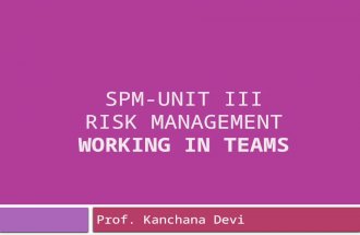 Spm unit iii-risk-working in teams