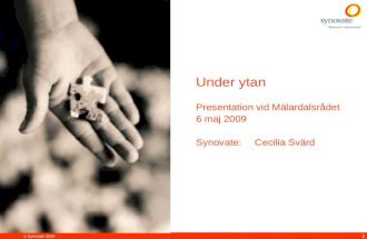 Cecilia Svärds presentation