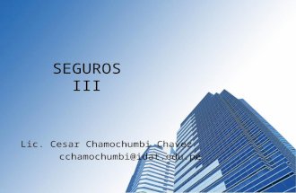 Seguros iii