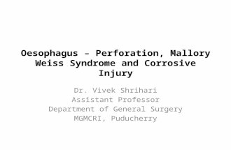 Oesophagus – perforation, mallory weiss syndrome and