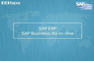 SAP ERP / SAP All-in-One (ver. EN)