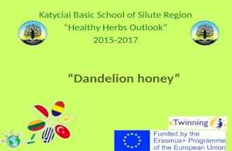 Dandelion honey