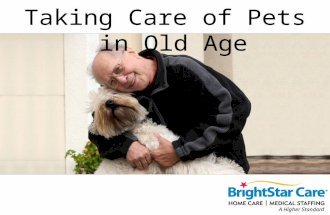 Taking Care of Pets in Old Age