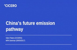 China's future emission pathway