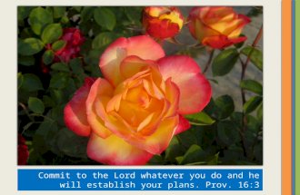 Flowers with bible verses