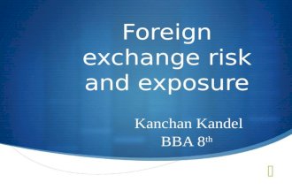 Foreign exchange exposure
