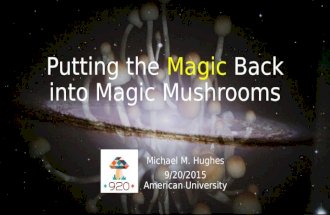 Putting the Magic Back into Magic Mushrooms: 9/20 Day of Activism