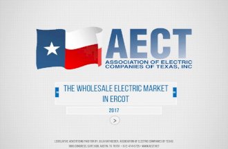The Wholesale Electric Market in ERCOT - 2017