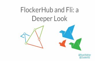 FlockerHub and Fli: a Deeper Look