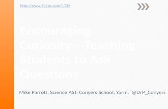 Encouraging curiosity – teaching students to ask questions
