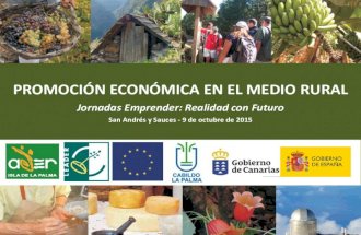 2015 Promoción económica para el medio rural