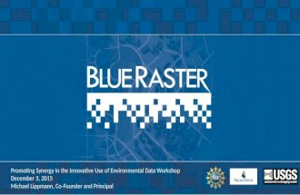Blue Raster Natureserve Synergy Workshop Presentation