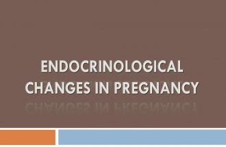 Endcrinological changes during pregnancy