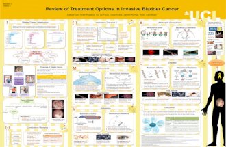 Bladder cancer group c10 (1)