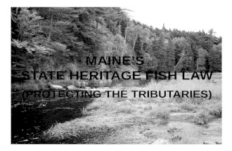Amending Maine's State Heritage Fish Law - Protecting Tributaries