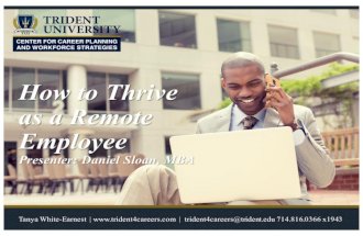 How to Thrive as a Remote Employee