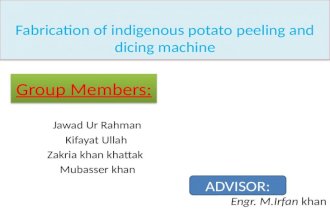 potato peeling machine