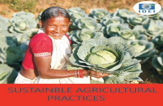 IDEI Sustainable Agricultural Practices