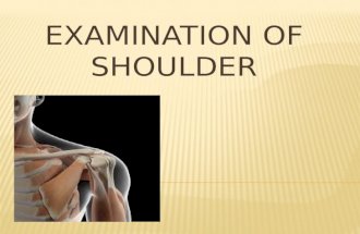 Examination of shoulder