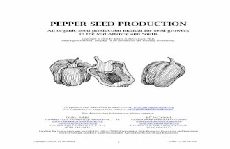 Organic Pepper Seed Production in Mid-Atlantic & the South