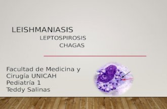 Leishmaniasis,leptospirosis y chagas