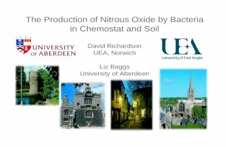 Soil: the significance of nitrous oxide - Prof. D. Richardson & Dr L. Baggs
