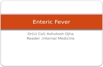 Enteric fever ug