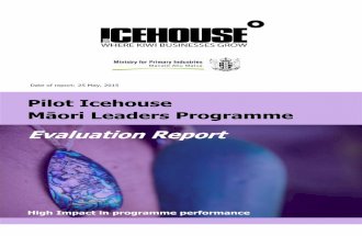 Māori Leaders Programme final evaluation report - july 2015