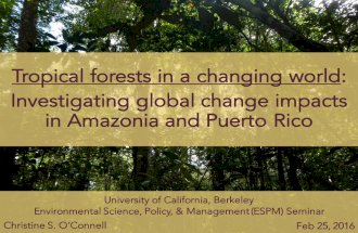 Tropical forests in a changing world: Investigating global change impacts in Amazonia and Puerto Rico